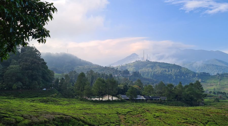 10 Tempat Wisata Murah Di Bogor Yang Wajib Dikunjungi Cocok Untuk Liburan Hemat