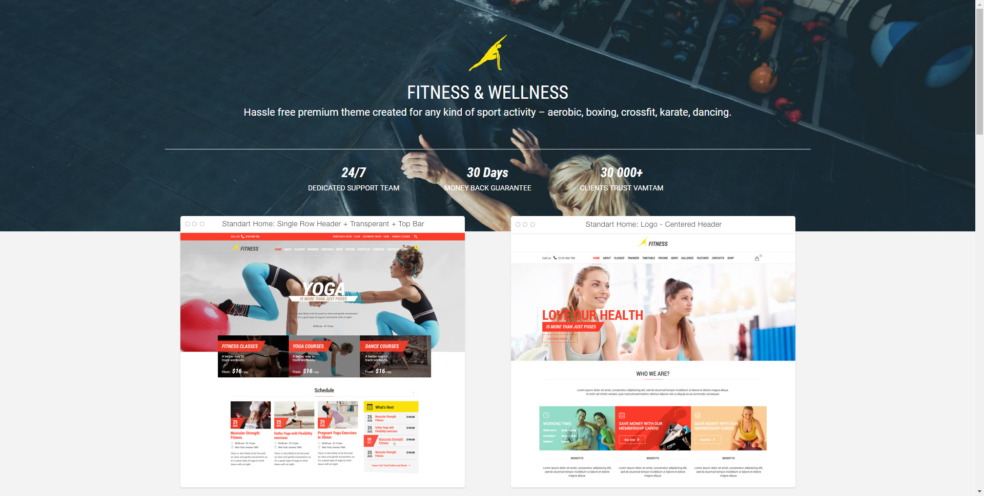 gutenberg ready wordpress themes