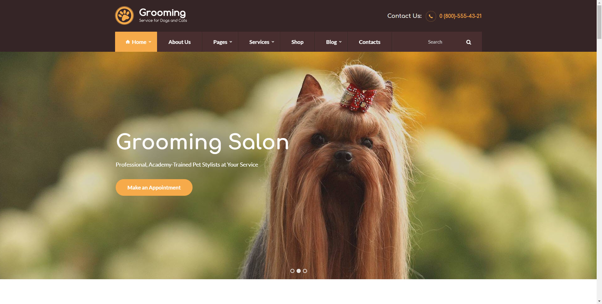 gutenberg ready wordpress themes