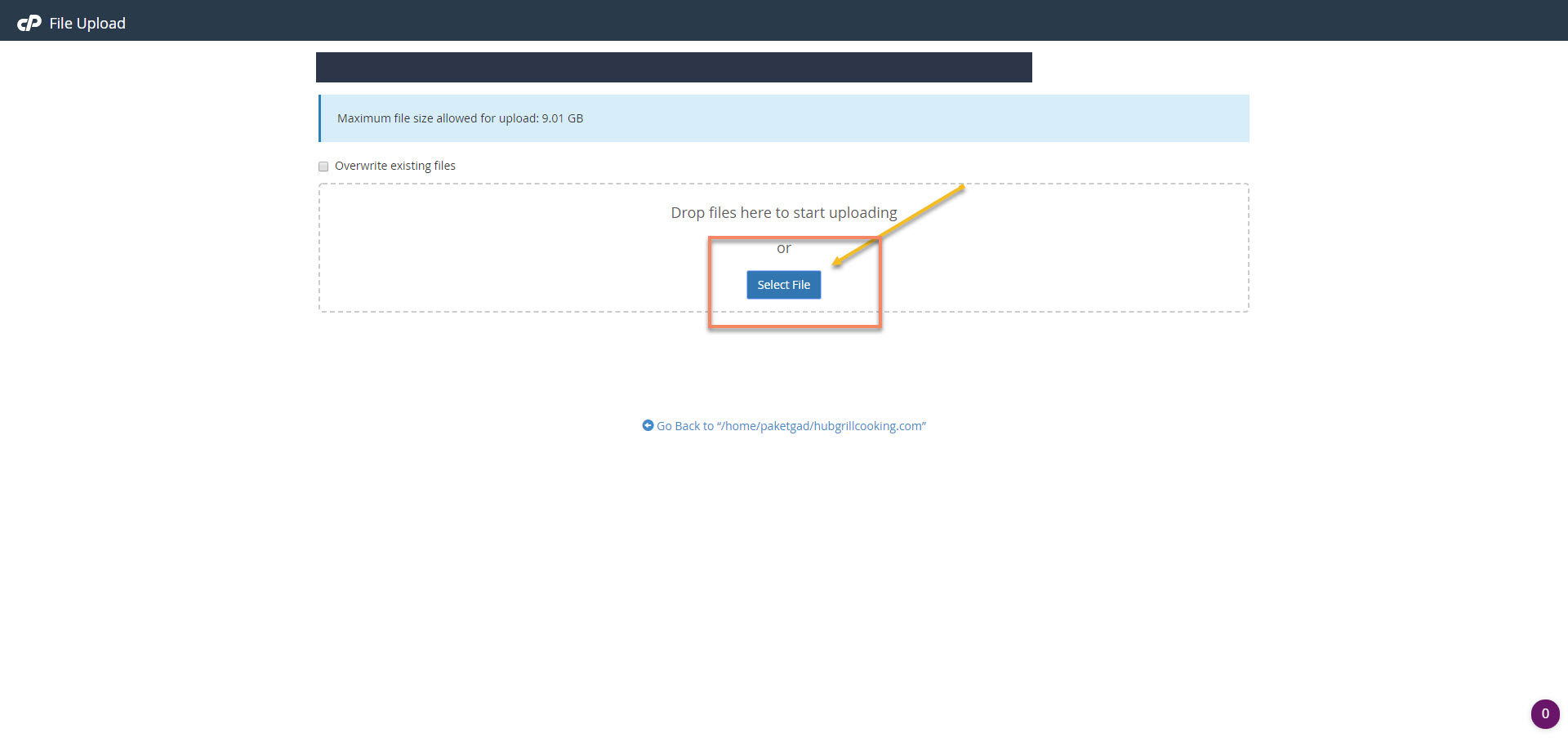 How To Install Wordpress In Cpanel With Shared Hosting Account